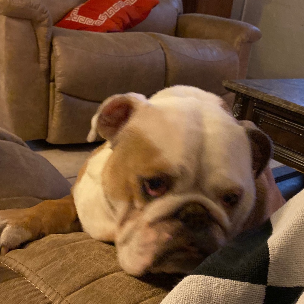 Meet your Posher, Mindy